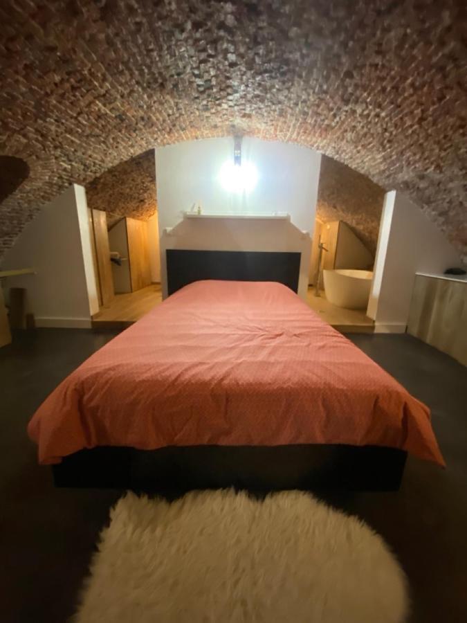Au Beau Lieu De Metz Apartment Lille Luaran gambar